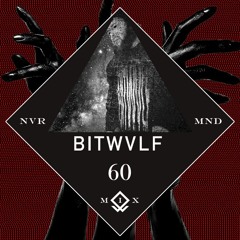 BITWVLF - NVRMND-M1XXX