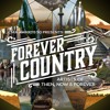 artists-of-then-now-forever-forever-country-ennis-del-mars