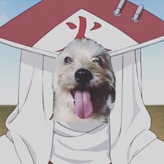 Approved for dogs