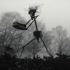 Fall In Love (Start A Revolution)