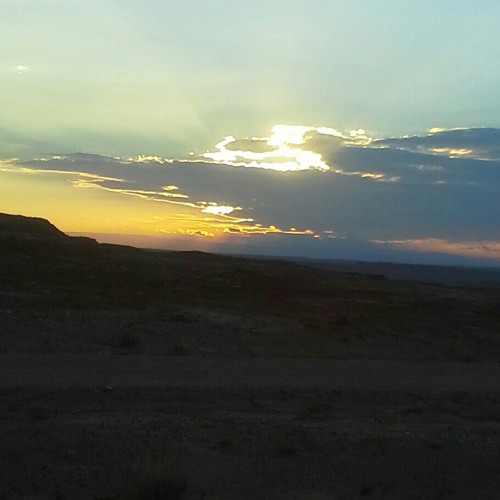 What I Love~JuneBug x $lim