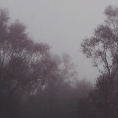 The Upload 8/9/2017