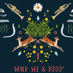 Vorfreude 3000° Festival 2017