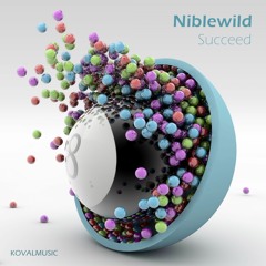 Niblewild - Succeed (Extended Mix)