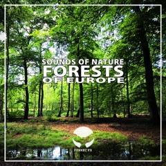 FORESTS of Europe | Forest ambience sound effects library