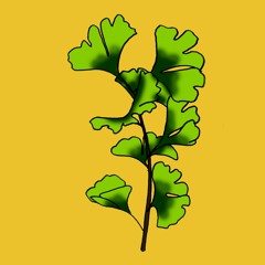 Puisi: Aku Tlah Luluh