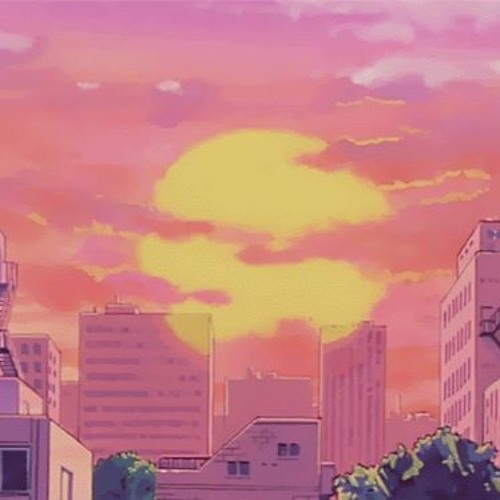 Sunset Drive