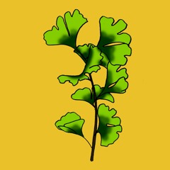 Puisi: Aku Ingin Menemuimu