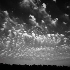 BLAINE L REININGER - CIRRUS SPIRIT