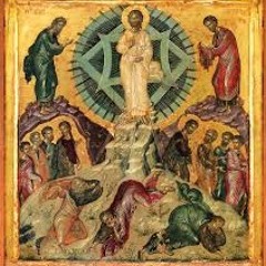 Trembled Mount Sinai 8/6/17