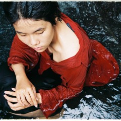 Bạn Một Quãng Đời