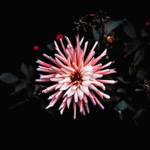 Stream Jasmine Thompson Old Friends (Indigen Remix) by Indigen