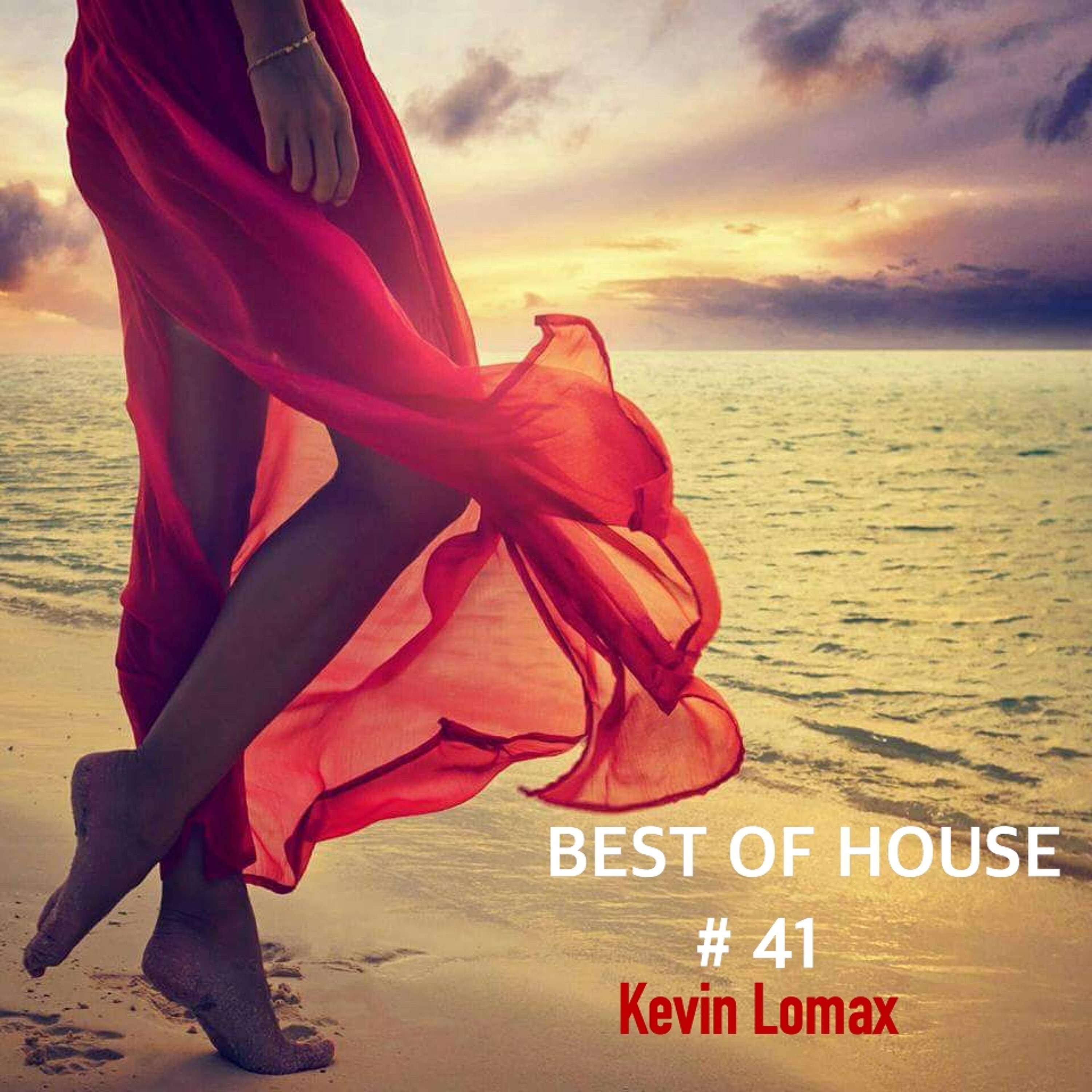 Music Art Radio Show-Best of House
