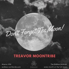 Don't Forget The Moon! 06 TREAVOR MOONTRIBE