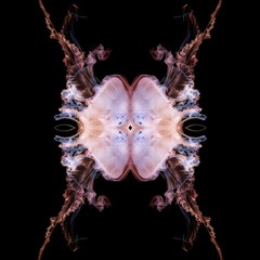 Jelly Tales by Andrea Ferlin