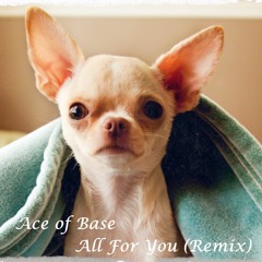 All For You - Ace of Base (MC Remix)