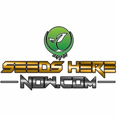 Episode 12 - James Bean Of Seeds Here Now
