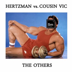 SOM 060 Hertzman Vs. Cousin Vic - The Trouble (Original Mix) preview