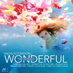 Nacho Sotomayor - Wonderful (Marga Sol Chill Rmx)