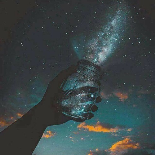 Ego Trippin - Tracker VIP