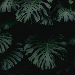 DeepTropicalHouse Mix (PhilZen)