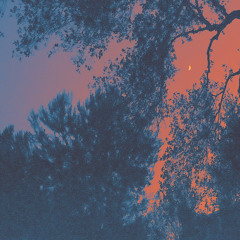 Smoke and Chandeliers