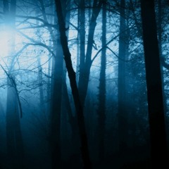 Walk With Me