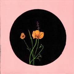 Untitled and Never to be Done