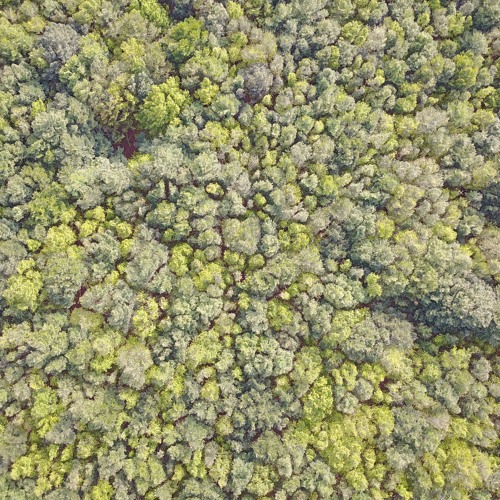 Maramba Dj Set Enomys 2017 - 07 - 31