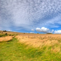 Windy Whispers