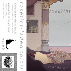 r o s e˙t i n t - faded colors full tape