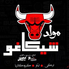 مولد شيكاغوو الكونت تركي واللورد تايجـر 2018