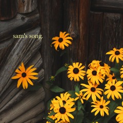 sam's song (i know you can)
