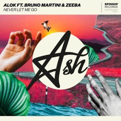 Alok, Bruno Martini, Zeeba - Never Let Me Go (Ash Rework/Bootleg)