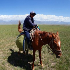 Milestone 48: Near Sary Mogol, Kyrgyzstan