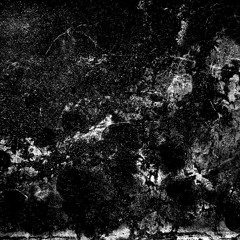 Episode 80: Billy Roisz