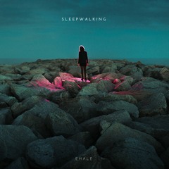 Sleepwalking Ft. This Wild Life