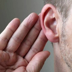 Porrada nas Z'orelha  [RAP BRASIL]