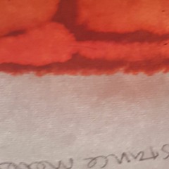 from the signal (2017)