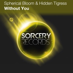 SR308 : Spherical Bloom & Hidden Tigress - Without You (Yuriy From Russia Remix)