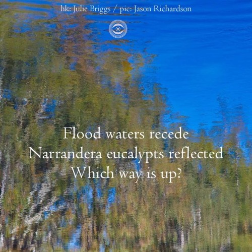 Chasing Echoes (naviarhaiku187)