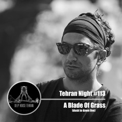 Tehran Night #113 A Blade Of Grass (Dusk to Dawn Live)[Special Guest]