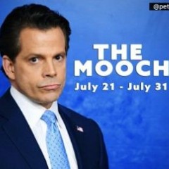 The Mooch Gets Whacked