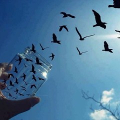 Wasted Time- Gig McKell (PLG)