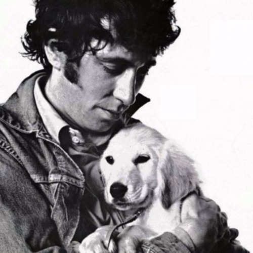 Reynardine (after Bert Jansch)