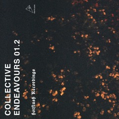 Collective Endeavours 01.2 (Mini-mix)