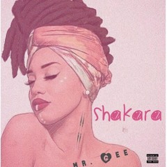 Mr.Gee - Shakara