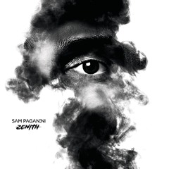 Sam Paganini - Zenith (4 Minutes Album Sample)