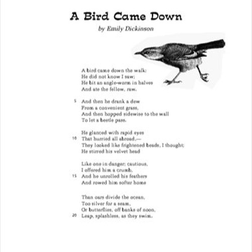  A Bird Came Down By Emily Dickinson Analysis A Short Analysis Of 