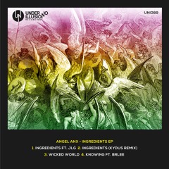 Angel Anx - Wicked World